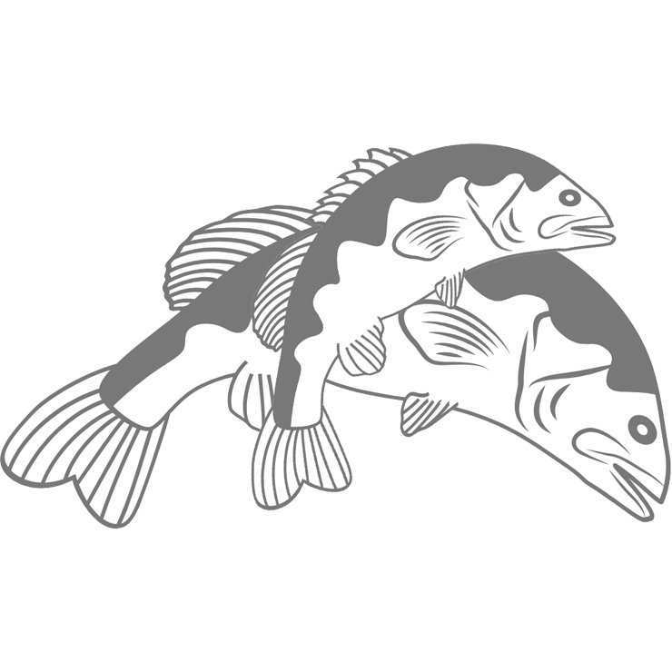 Riverine offers a unique experience with its Chinese fishing net and cage fish farm