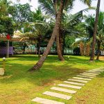 Riverine Activities - A refreshing walk through the riverside can elevate your mood in seconds