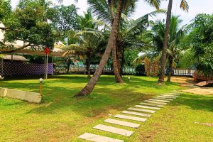 Riverine Activities - A refreshing walk through the riverside can elevate your mood in seconds